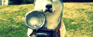 Journalism Huskie