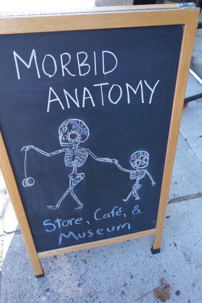 Morbid anatomy museum brooklyn